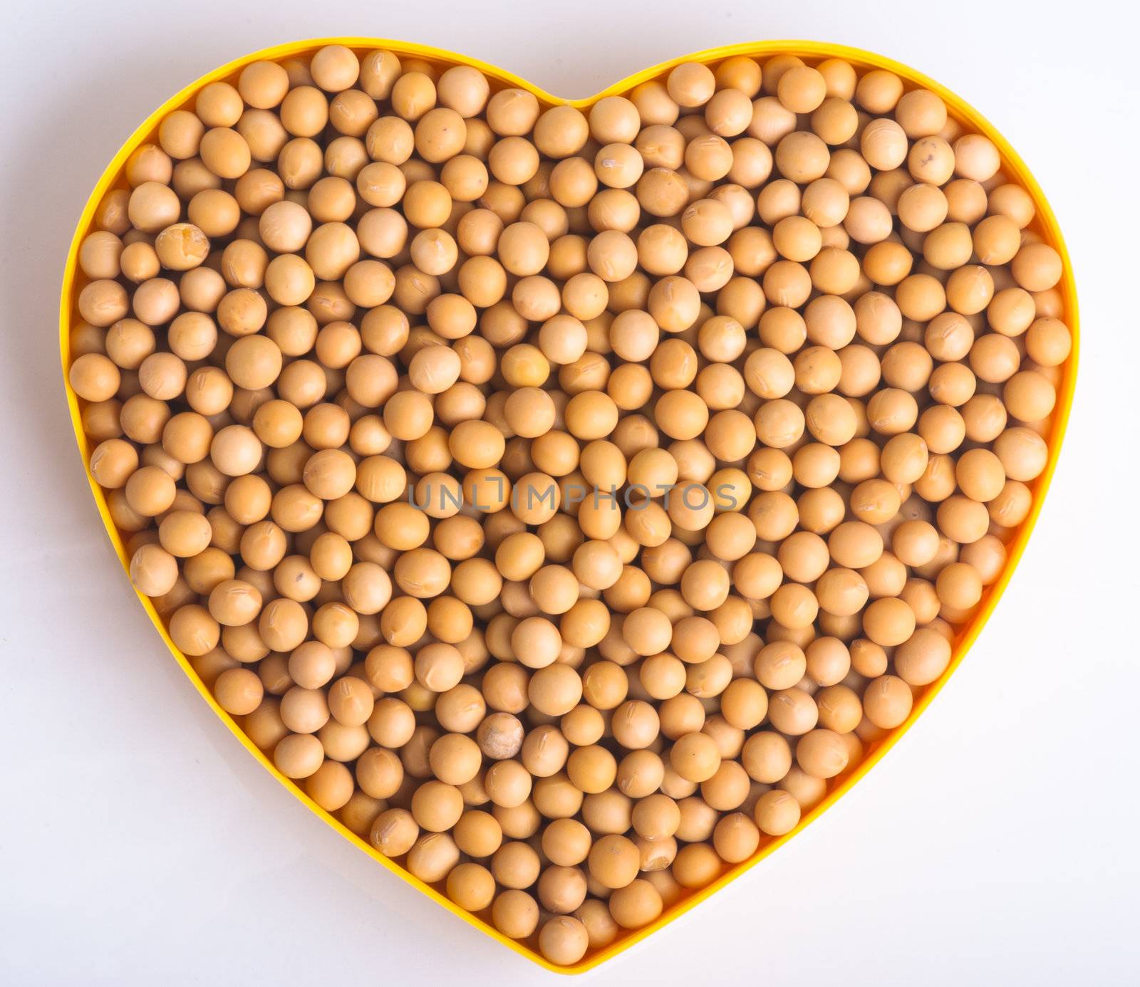 soybean isolated on white background