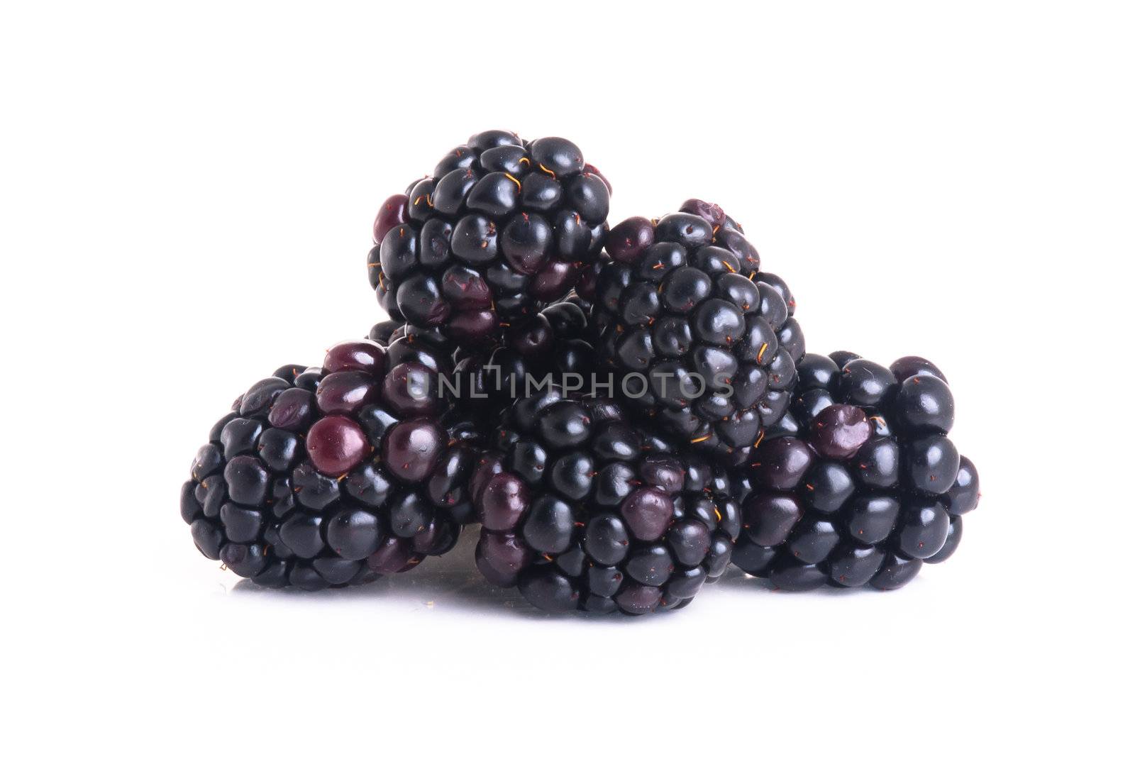 blackberry isolated on a white background by heinteh