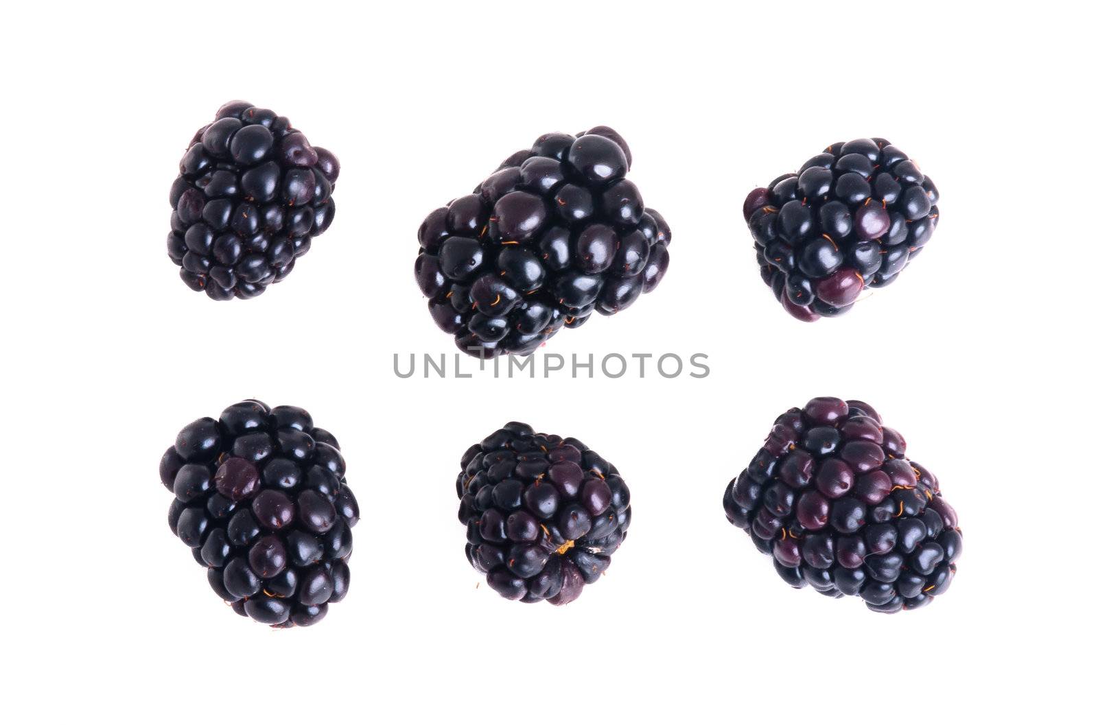 blackberry isolated on a white background by heinteh