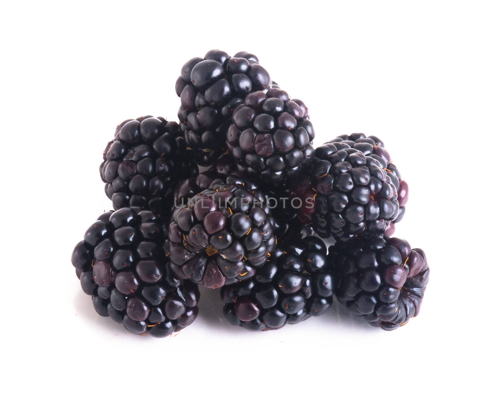 blackberry isolated on a white background by heinteh
