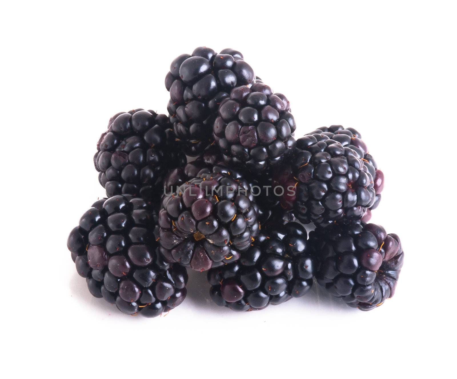 blackberry isolated on a white background