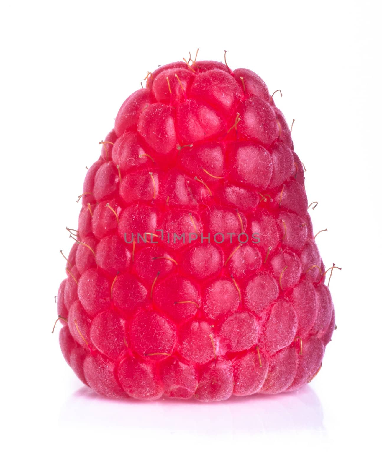 raspberry isolated on white background by heinteh