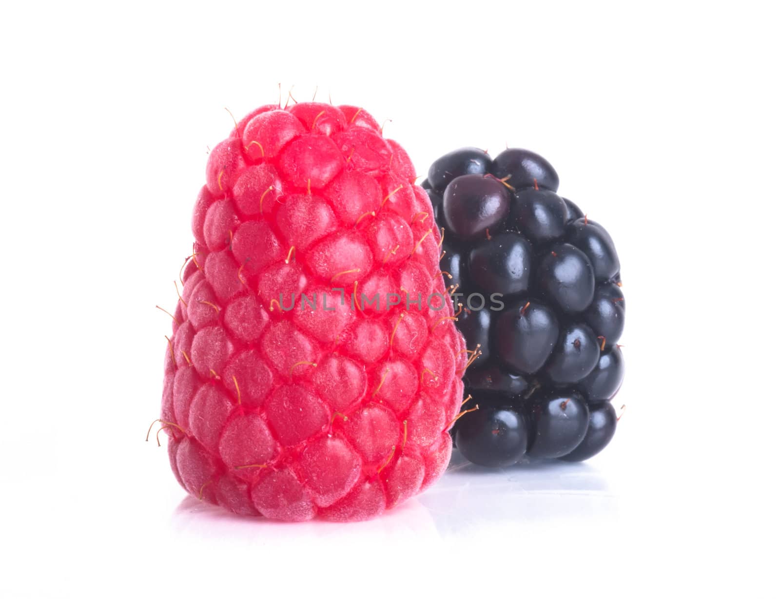 raspberry and blackberry on white isolated background by heinteh