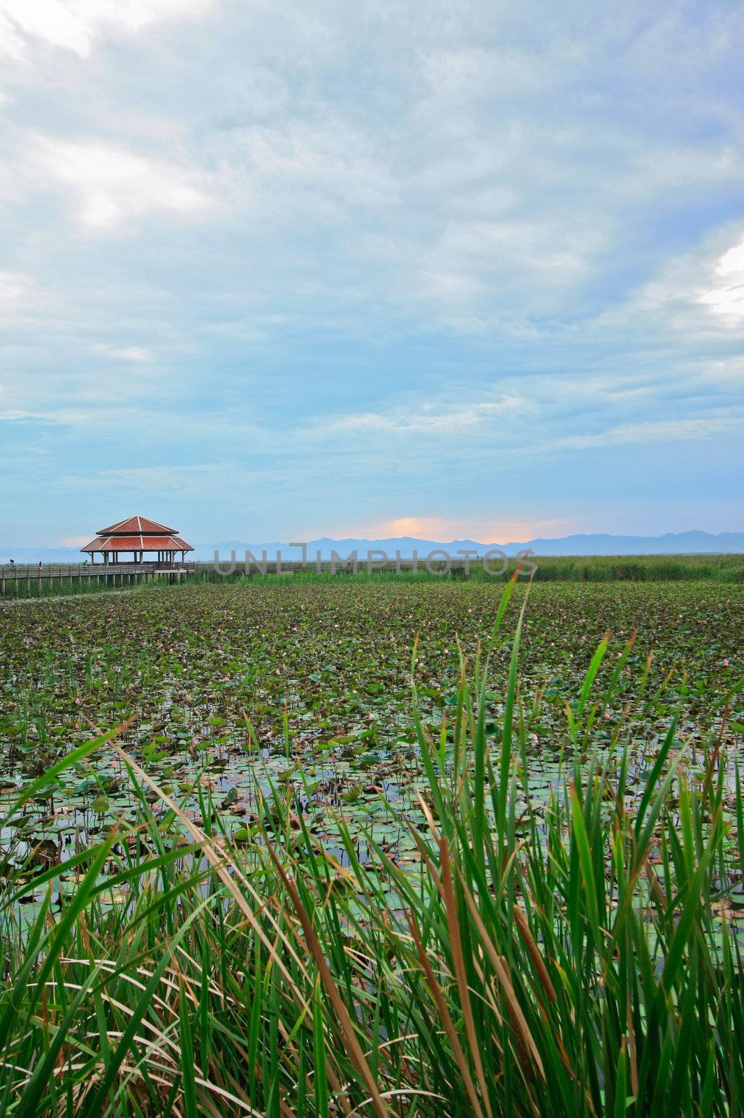 sam roi yod, national park, thailand