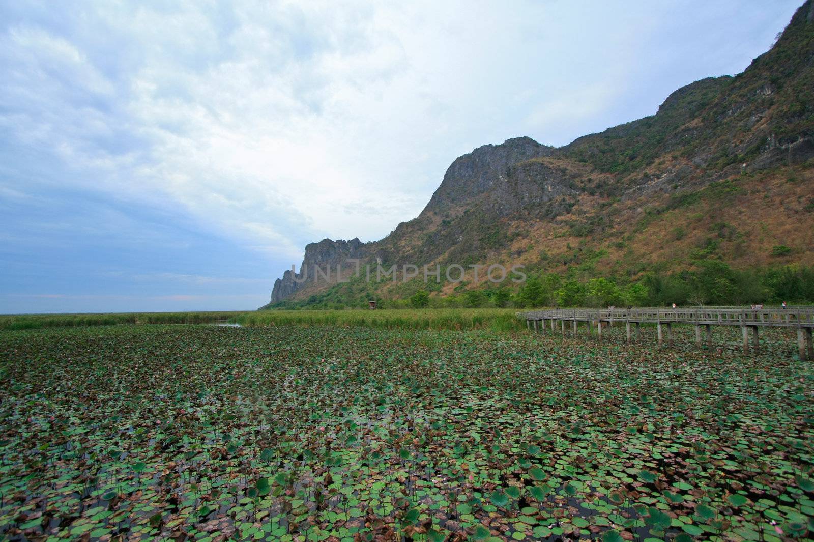 sam roi yod, national park, thailand