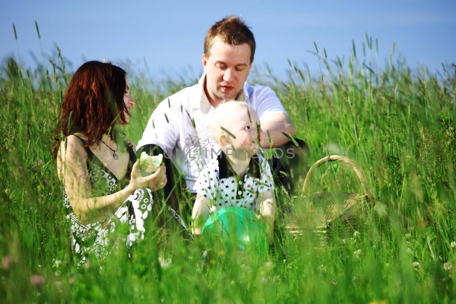  happy family on picnic in green grass