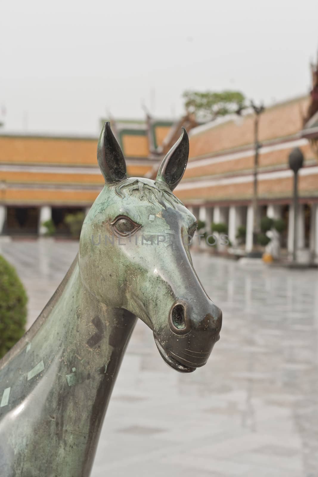 brass horse in temple, the decoration of the temple