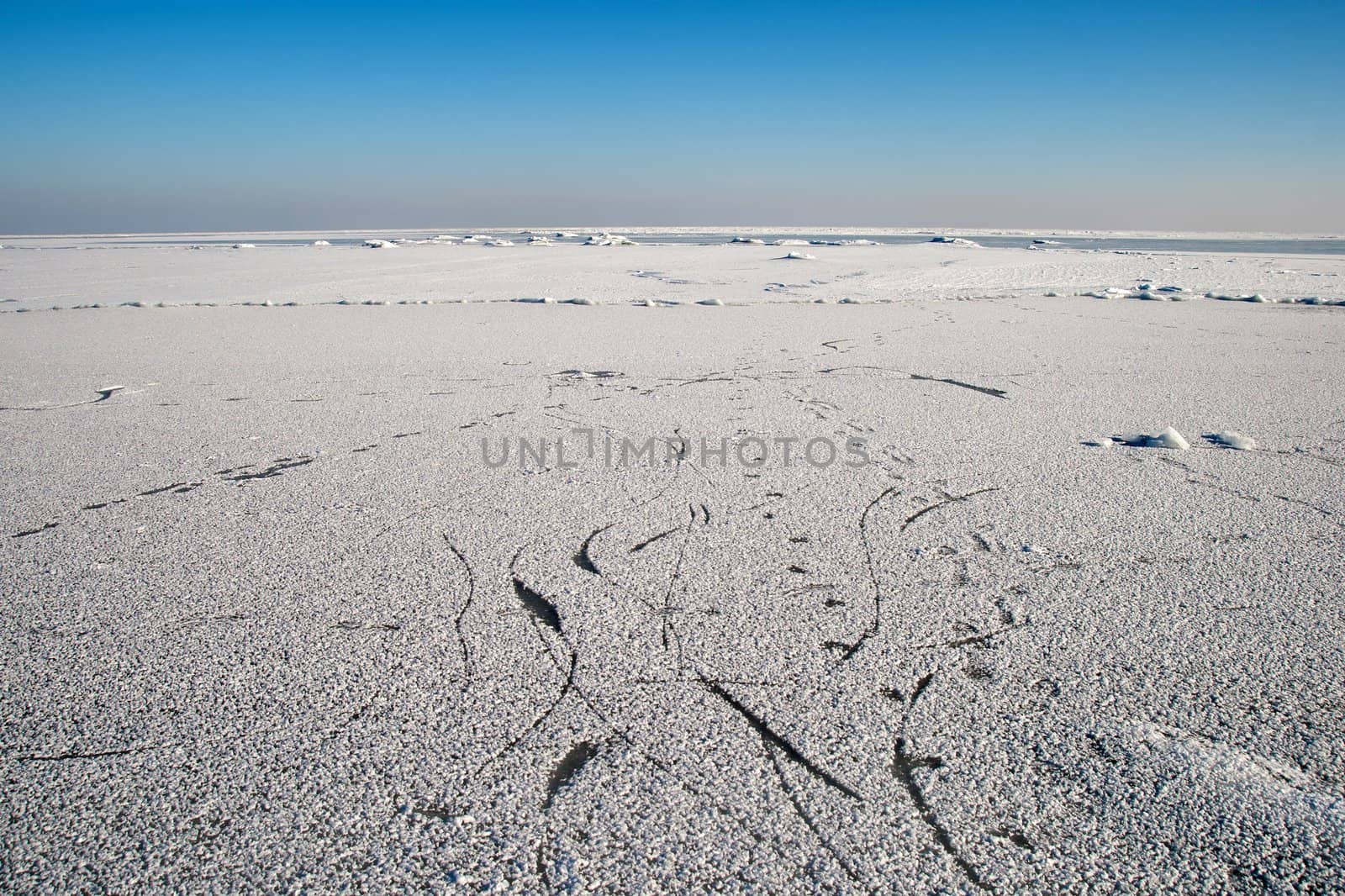 Frozen Baltic sea in a suny winter day