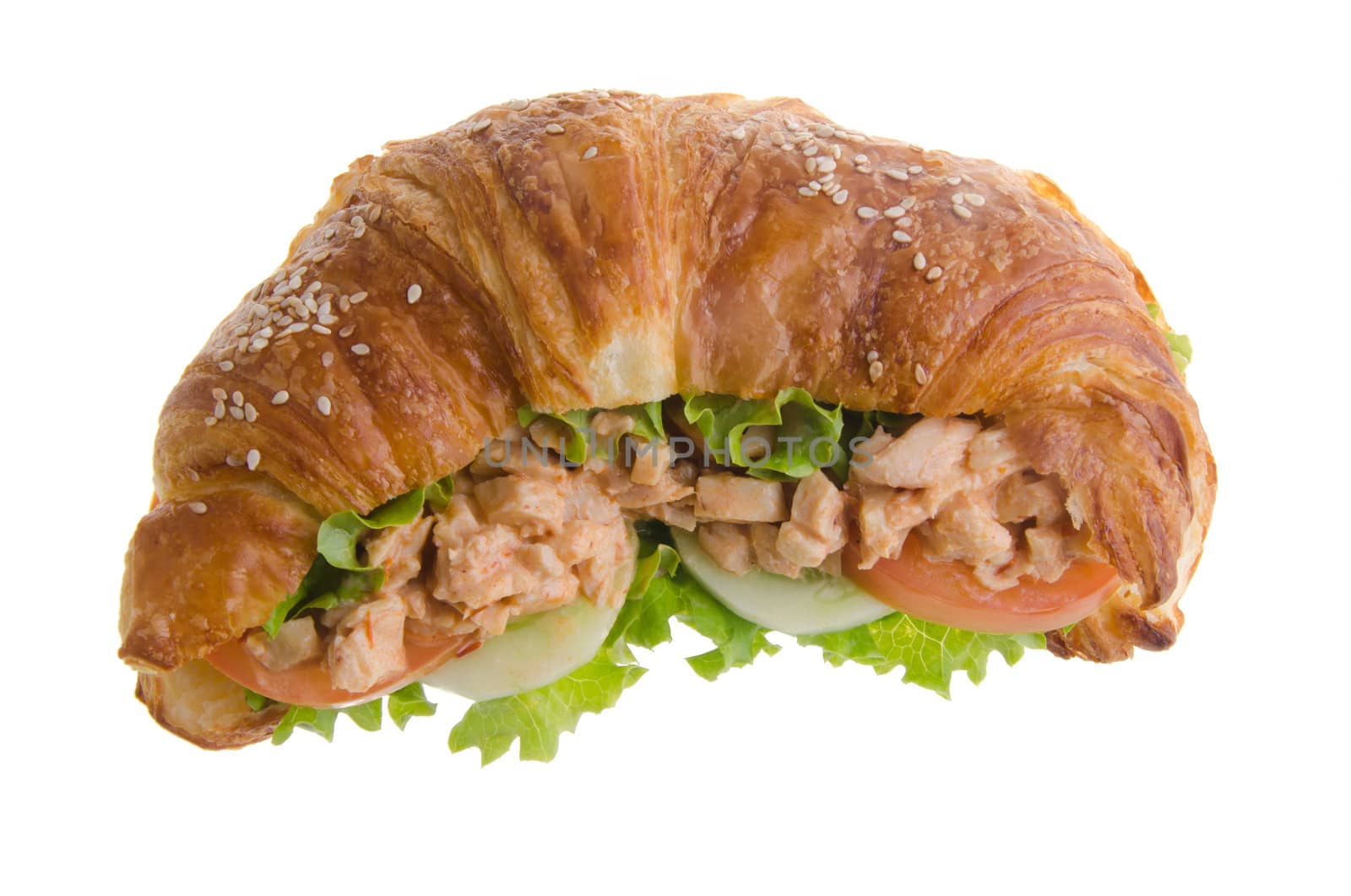 sandwich, croissant sandwich, fast food for breakfast or lunch. by heinteh