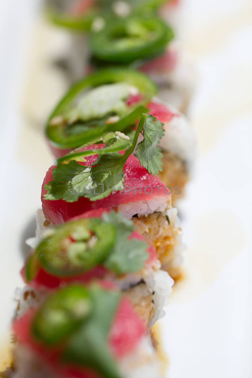 Sushi with tuna ,cilantro and Jalapeno peppers