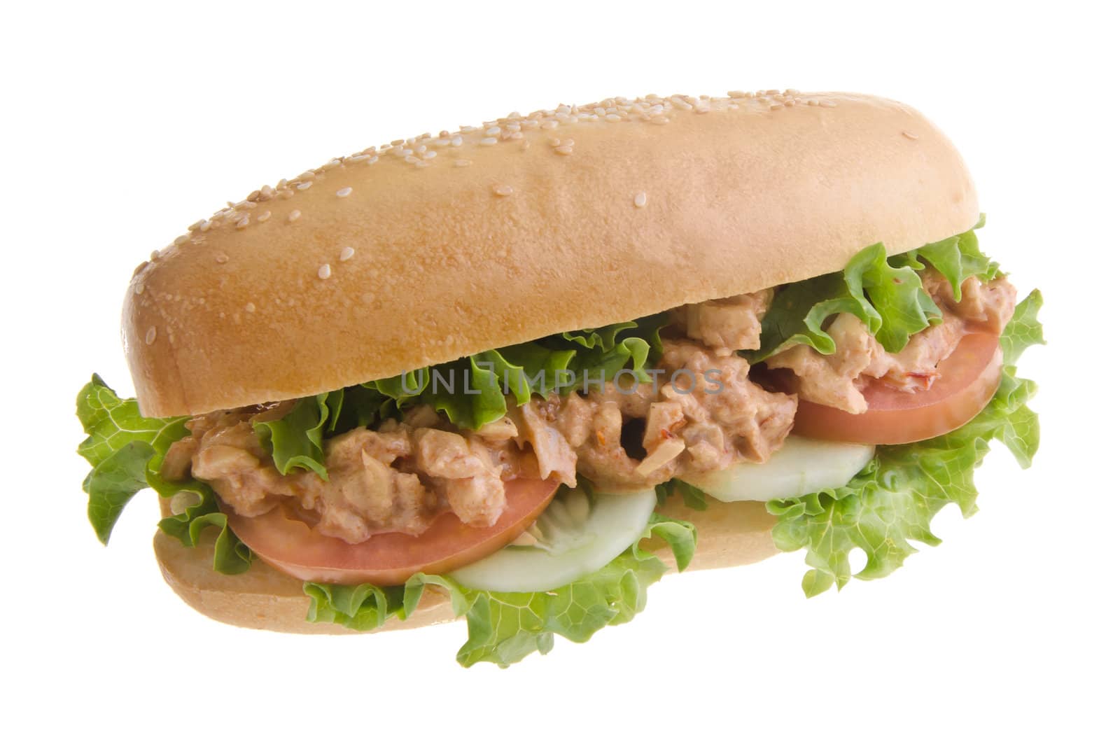 sandwich isolated on white background by heinteh