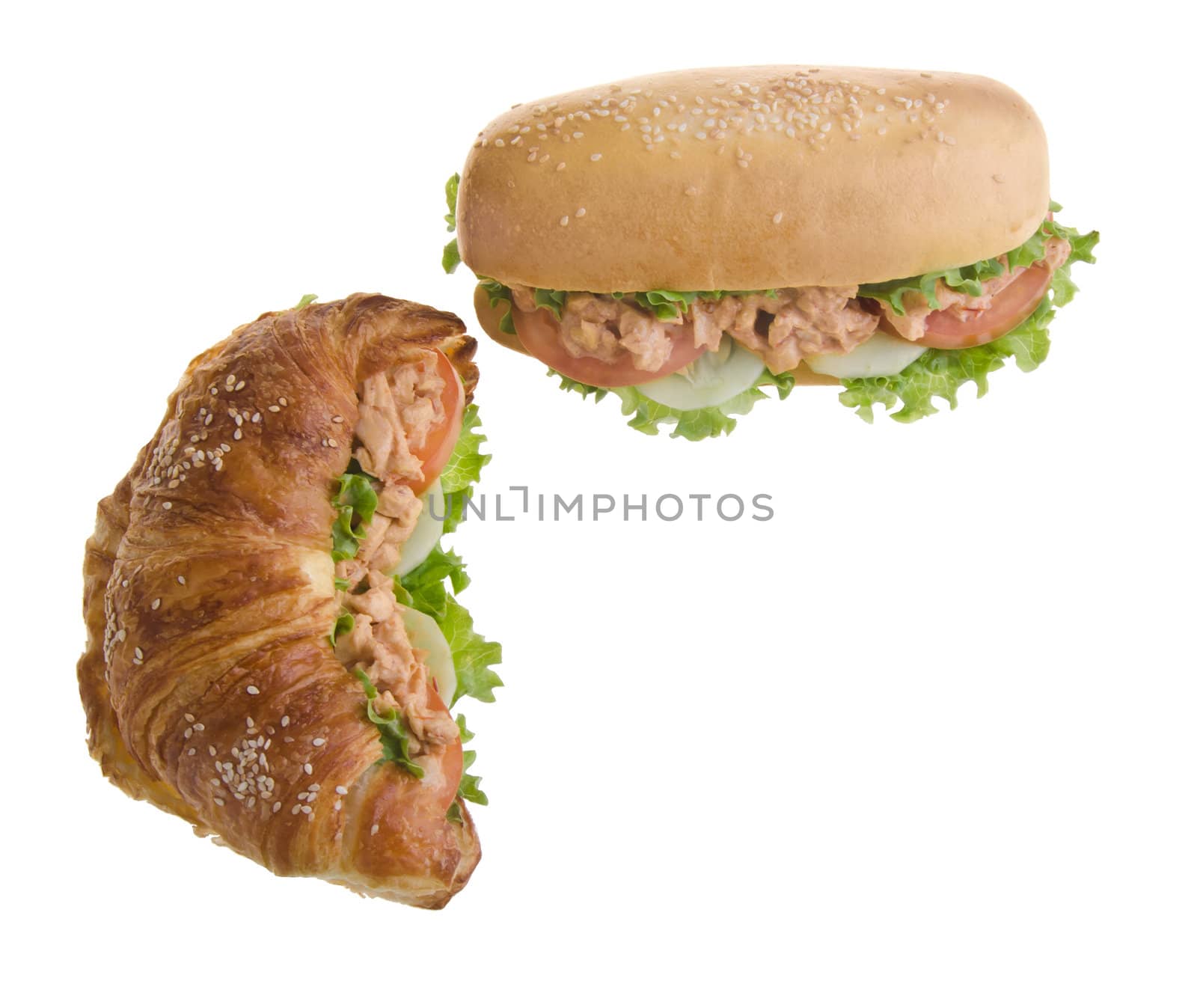 sandwich isolated on white background