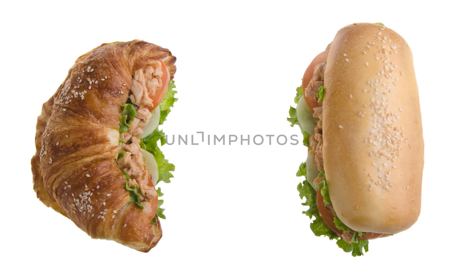 sandwich isolated on white background