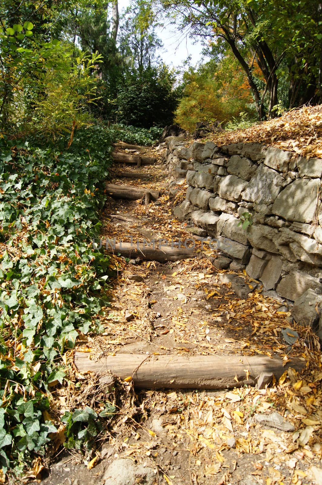 Autumn landscape: road in the Tbilisi botanic garden