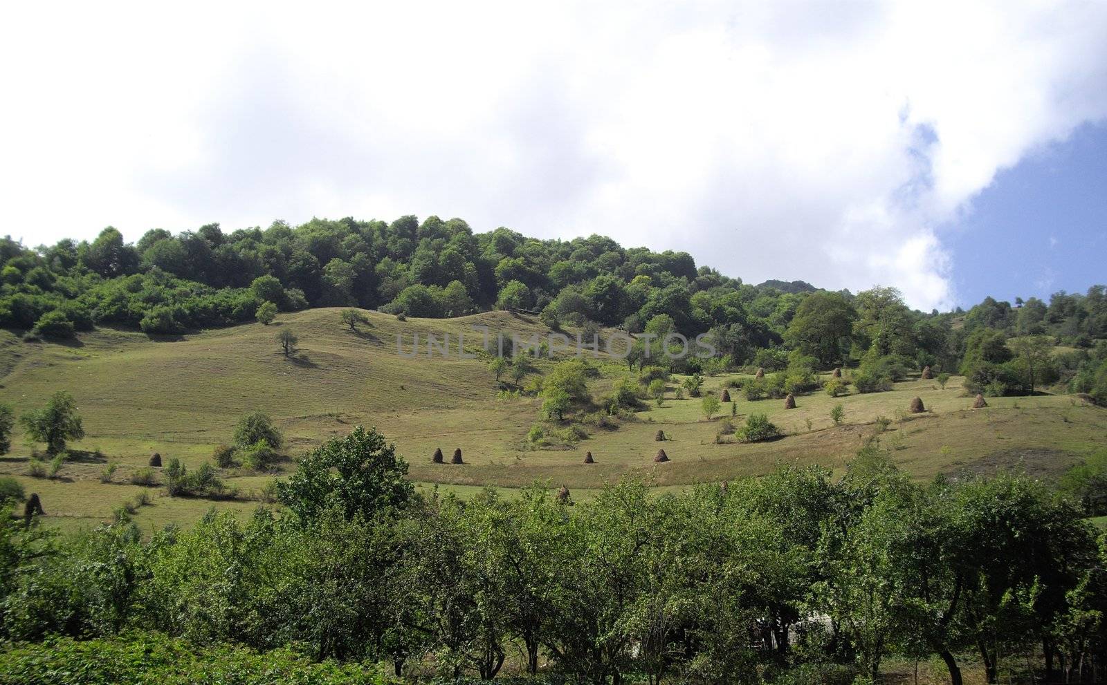 Caucasus mountains on the territory of Georgia by Elet