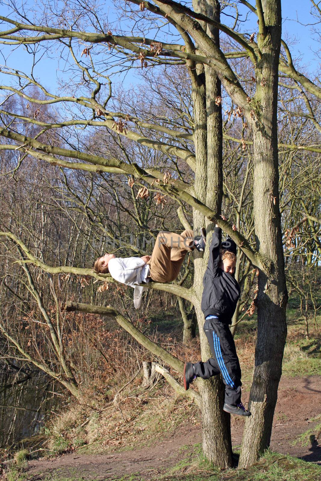 teenagers in the woods