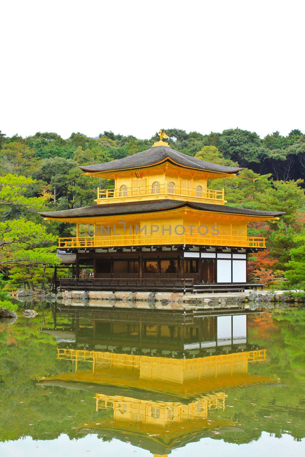 Kinkakuji Temple (The Golden Pavilion) in Kyoto, Japan  by nuchylee