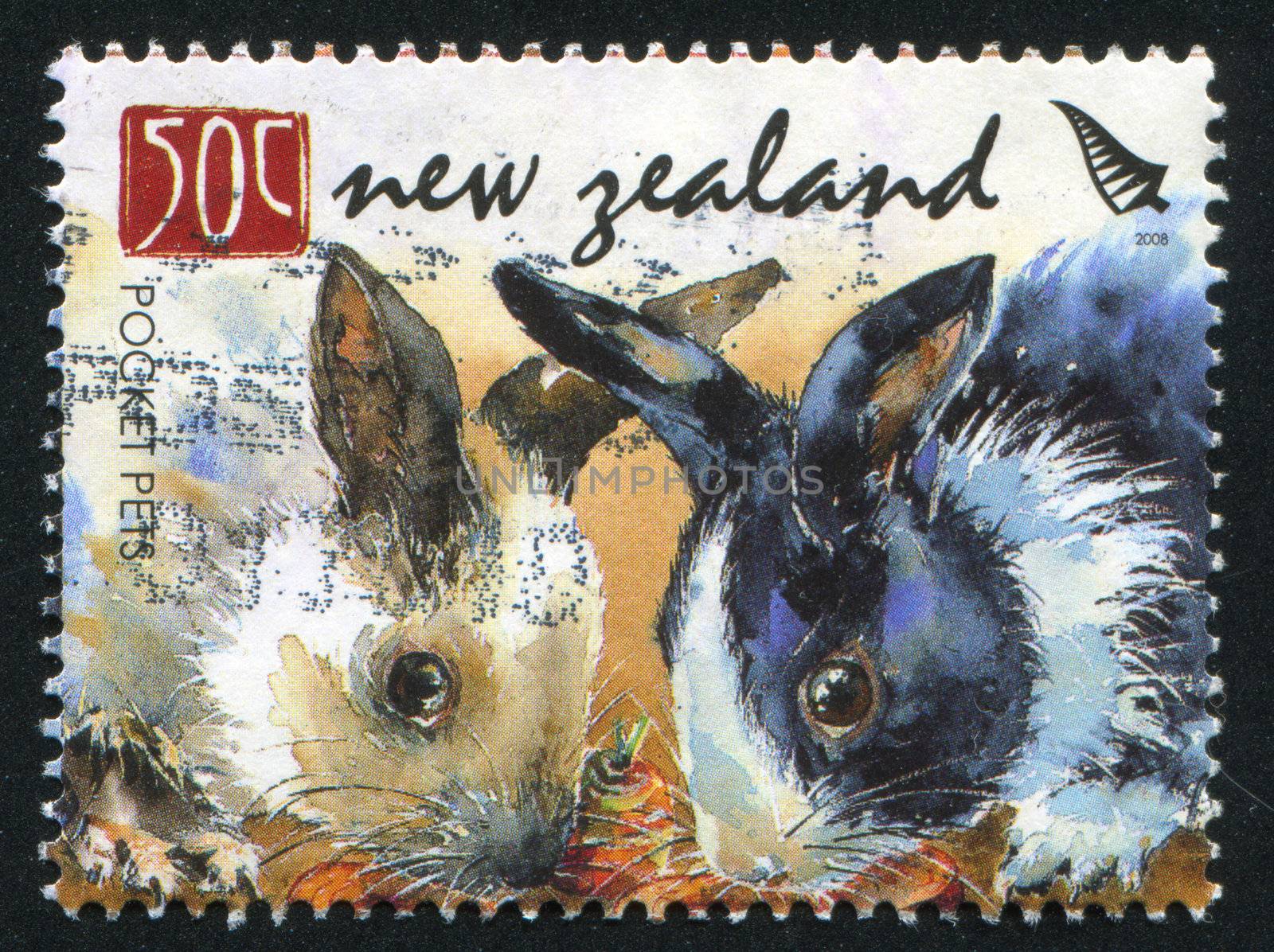 NEW ZEALAND - CIRCA 2008: stamp printed by New Zealand, shows Pocket Pets, Rabbits, circa 2008