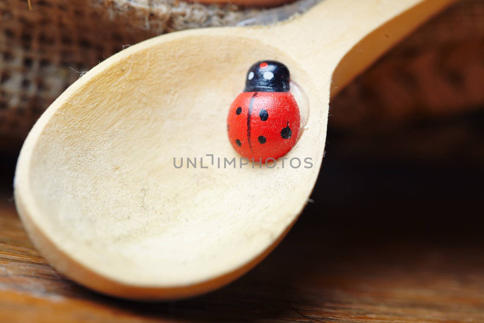 Ladybird on the wooden spoon. Close-up photo with shallow depth of field. Natural light and colors