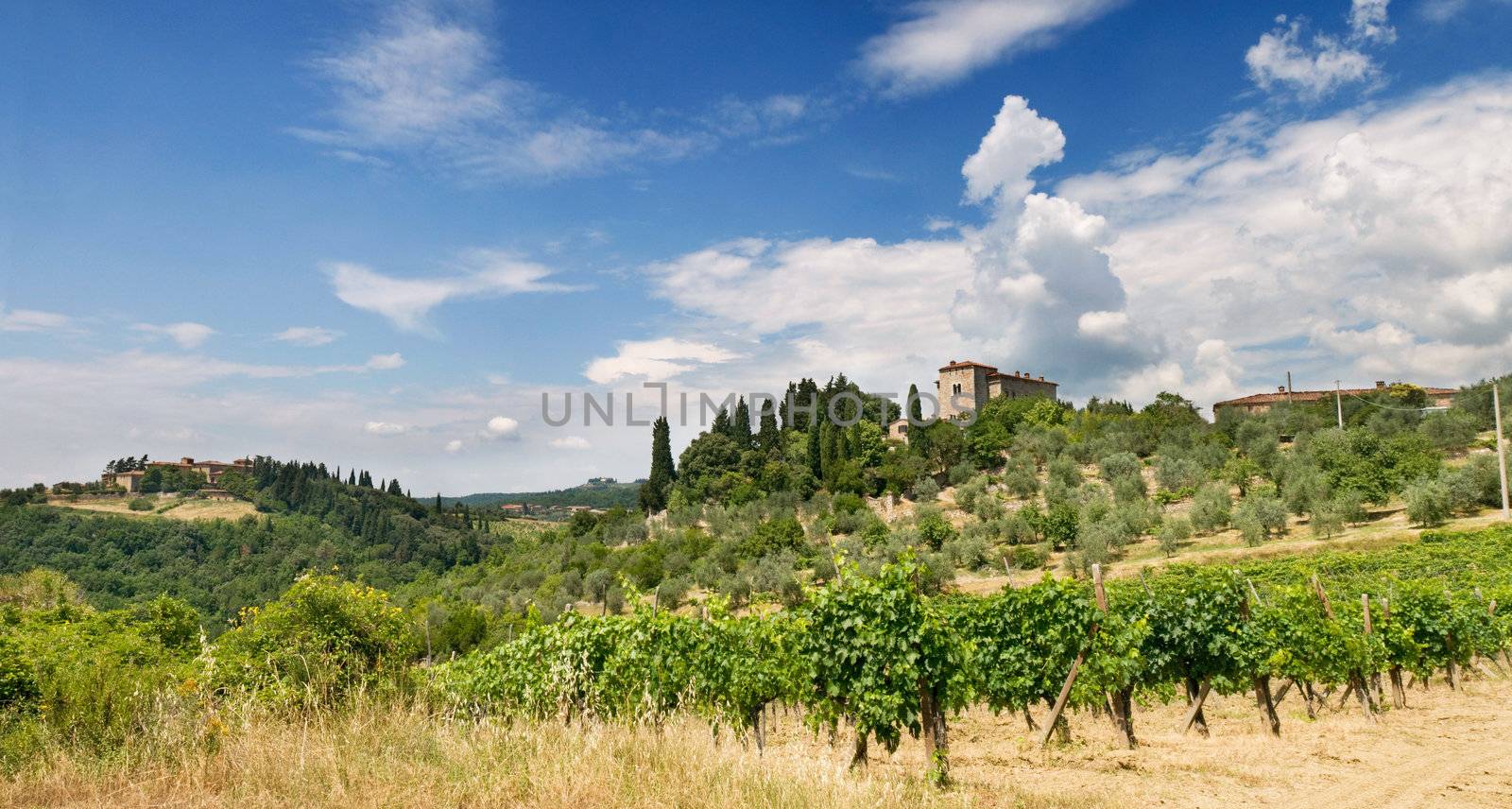 Tuscany Villa in Umbria, Italy, surrounded by wine and a summer landscape 