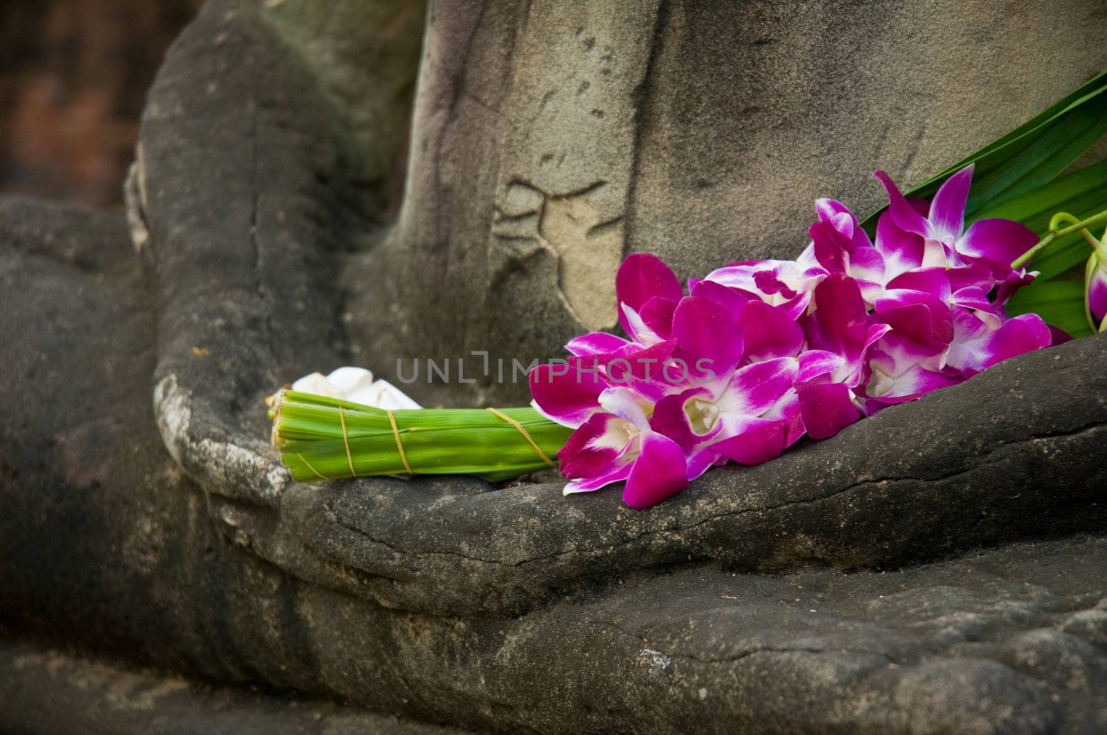 Sitting Buddha in meditation position, with fresh Orchid flowers in his hand. Ayutthaya city is the capital of Ayutthaya province in Thailand. Its historical park is a UNESCO world heritage.