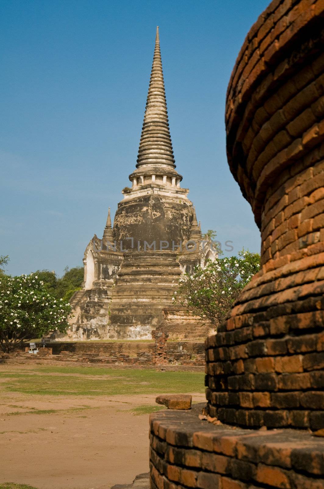 Stupa (chedi) of a Wat in Ayutthaya, Thailand by 3523Studio