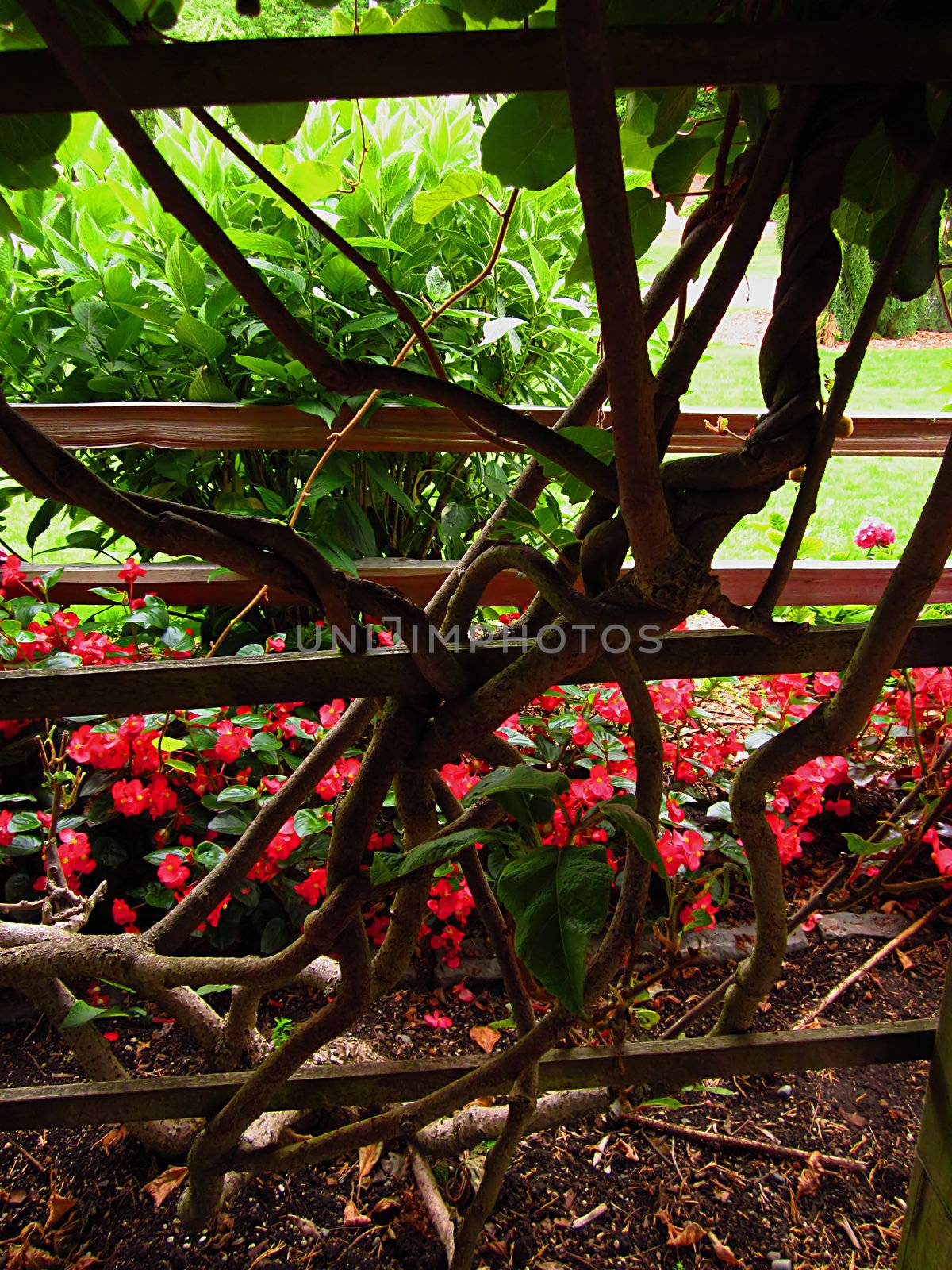 A photograph of landscaping at a house.