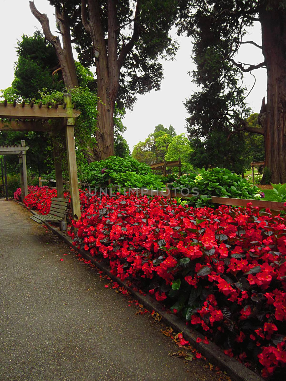 A photograph of a flower garden located at a public park.