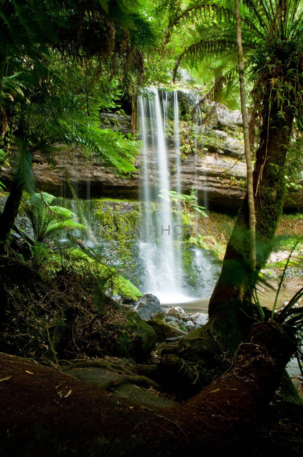 The beautiful waterfall in forest, spring, long exposure, Russell falls Mount Field National Park, in Tasmania Australia , austraila, Mt