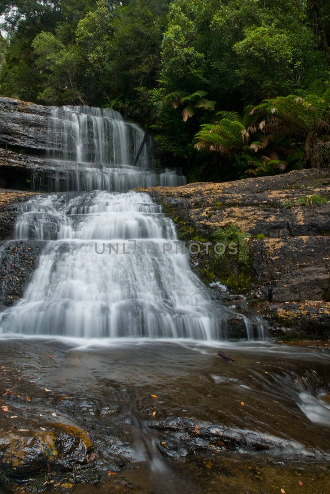 The beautiful waterfall in forest, spring, long exposure, Lady Barron Falls, Mount Field National Park, in Tasmania Australia, Mt