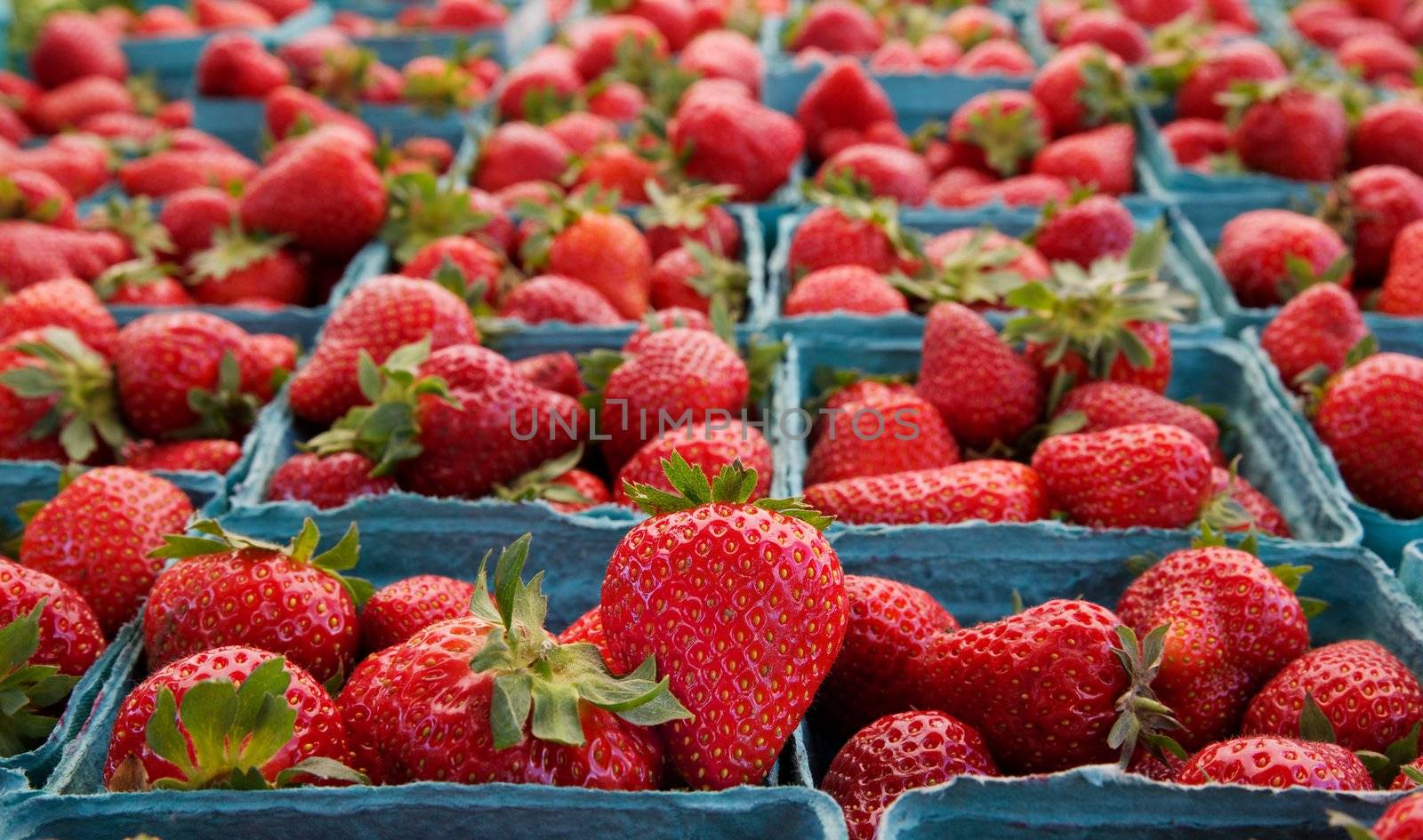 Focus on single ripe strawberry with soft focus boxes of the fruit in background