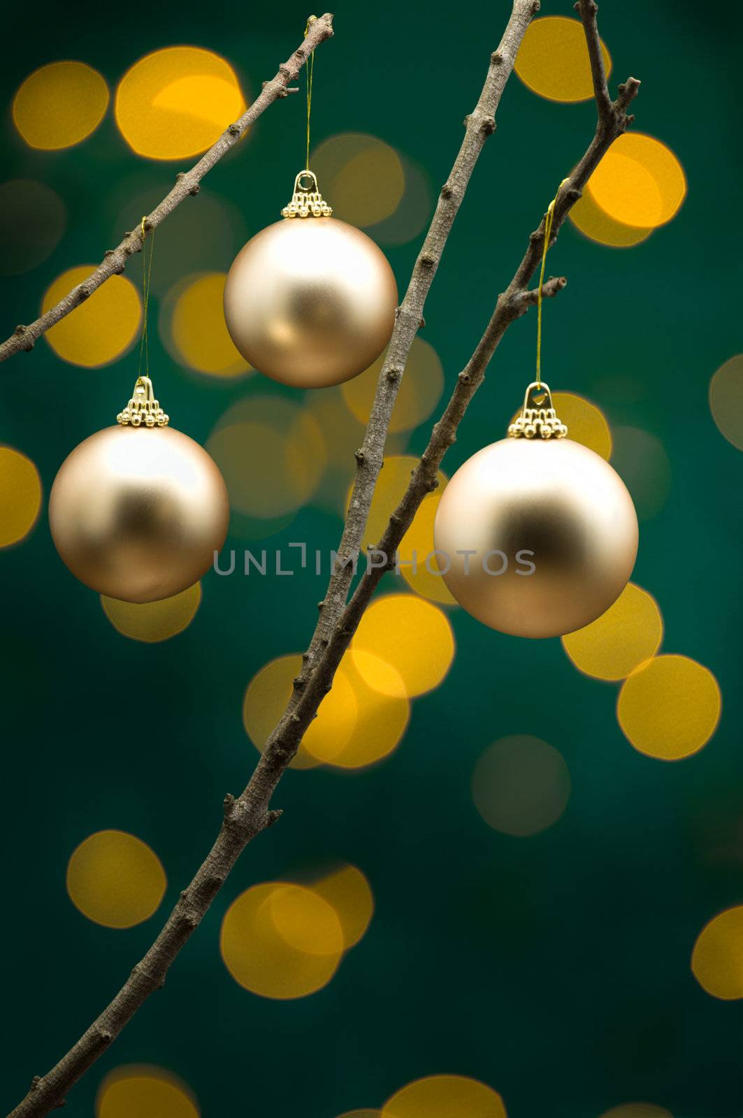 Golden Christmas decoration in front of lights on tree branch