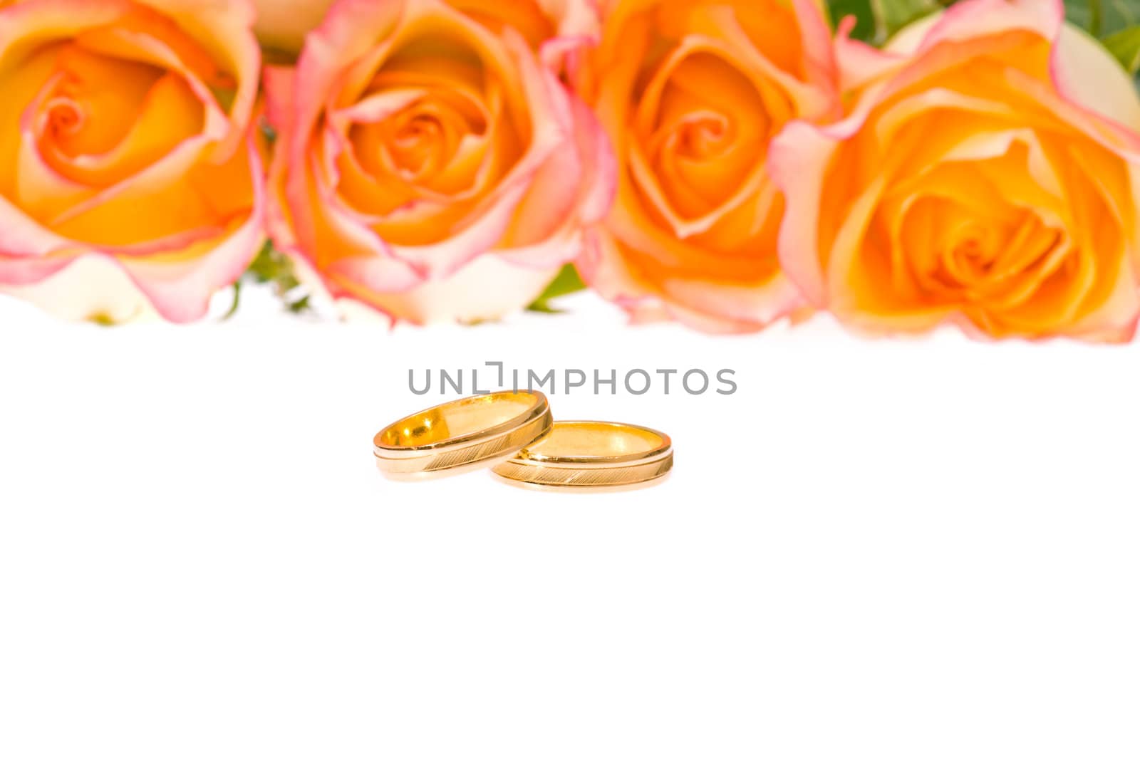 4 red yellow roses and golden wedding rings over white