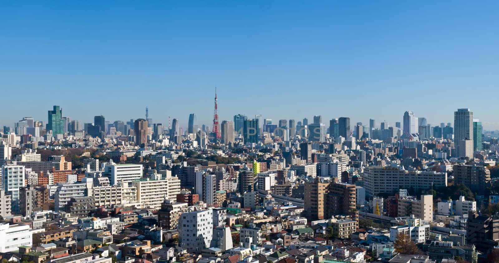 Blue sky panoramic view over downtown Tokyo, Tokyo tower in the background