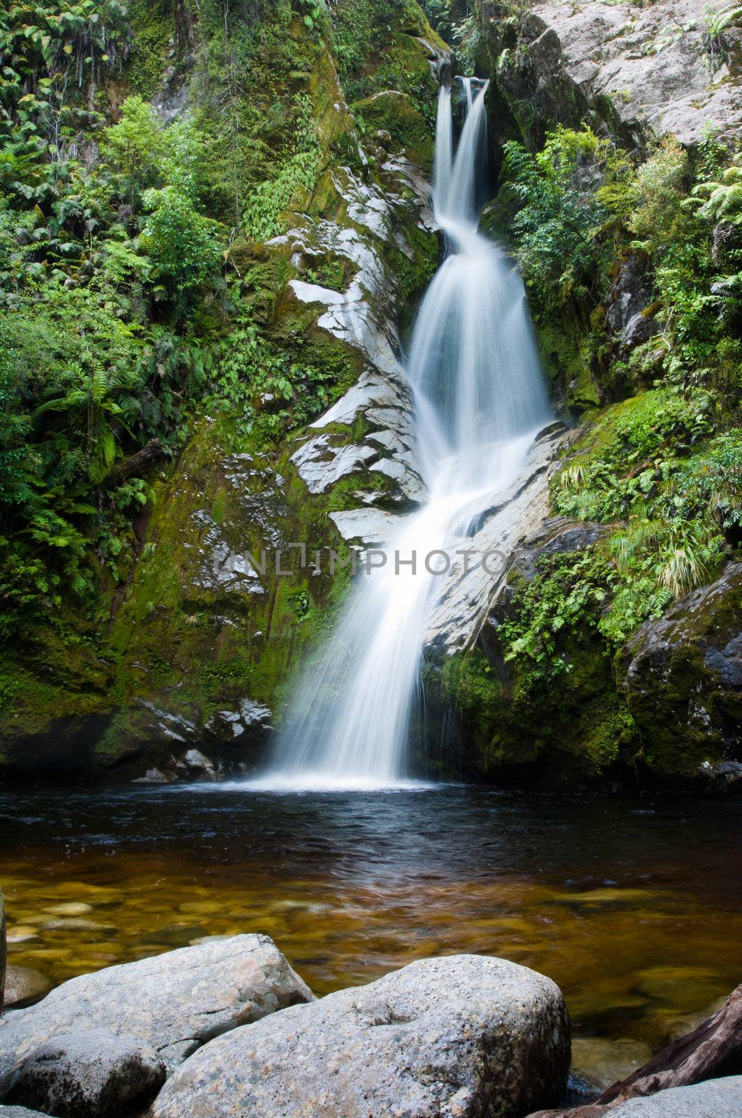 Dorothy Falls, Lake Kaniere, South Island, New Zealand