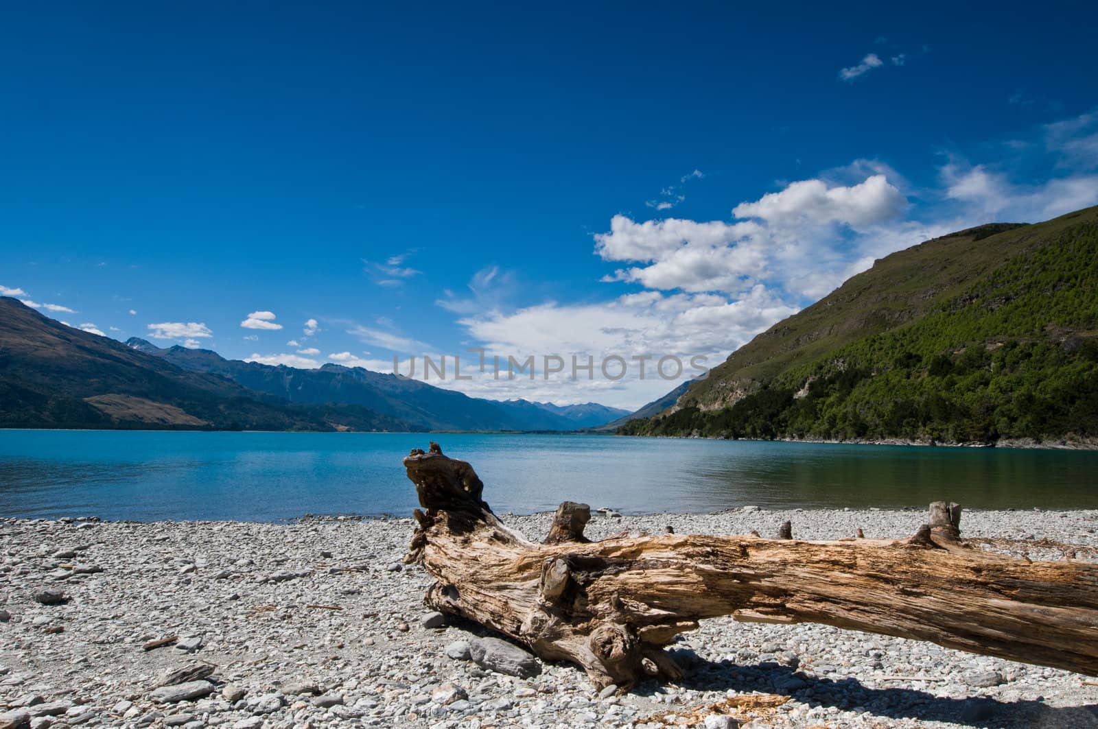 A lake during a sunny day with blue sky