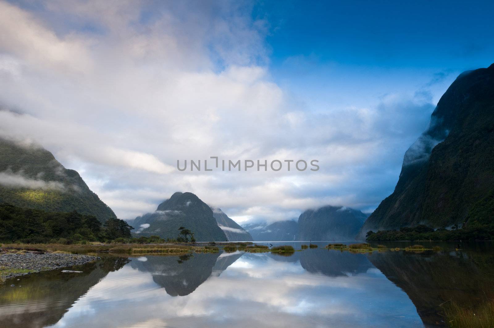 Cloudy morning at milford sound at sunrise by 3523Studio