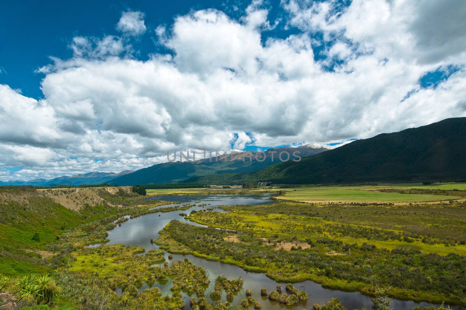 Waiau river wetland South New Zealand by 3523Studio