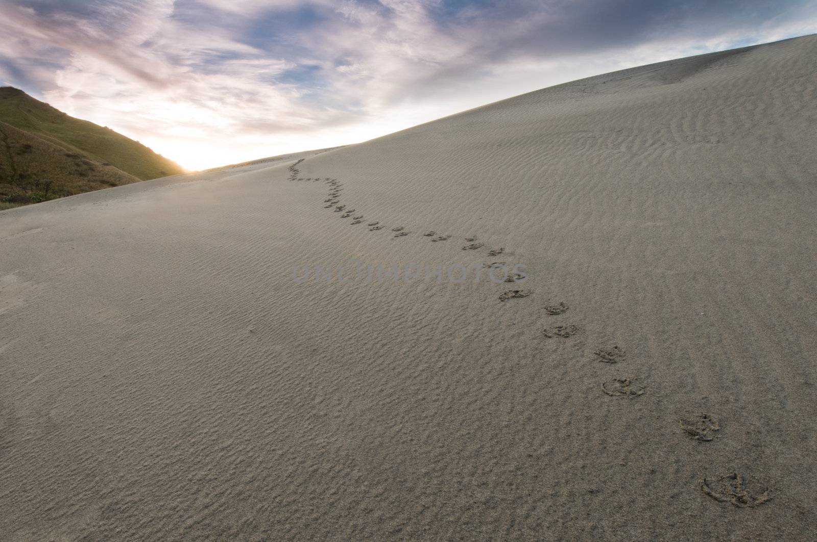 Footprints in sand  by 3523Studio
