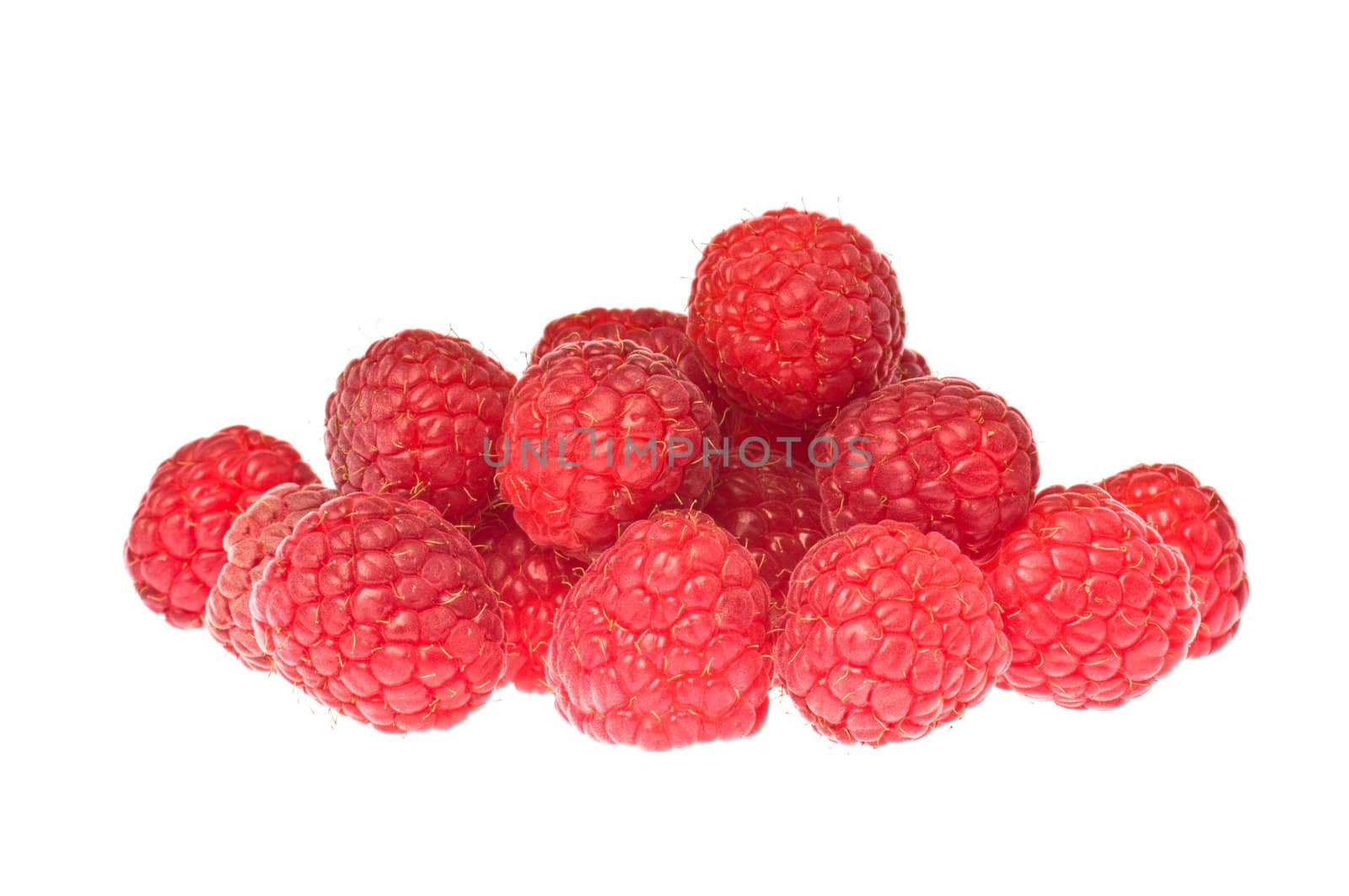 Many raspberries over white close up studio shot