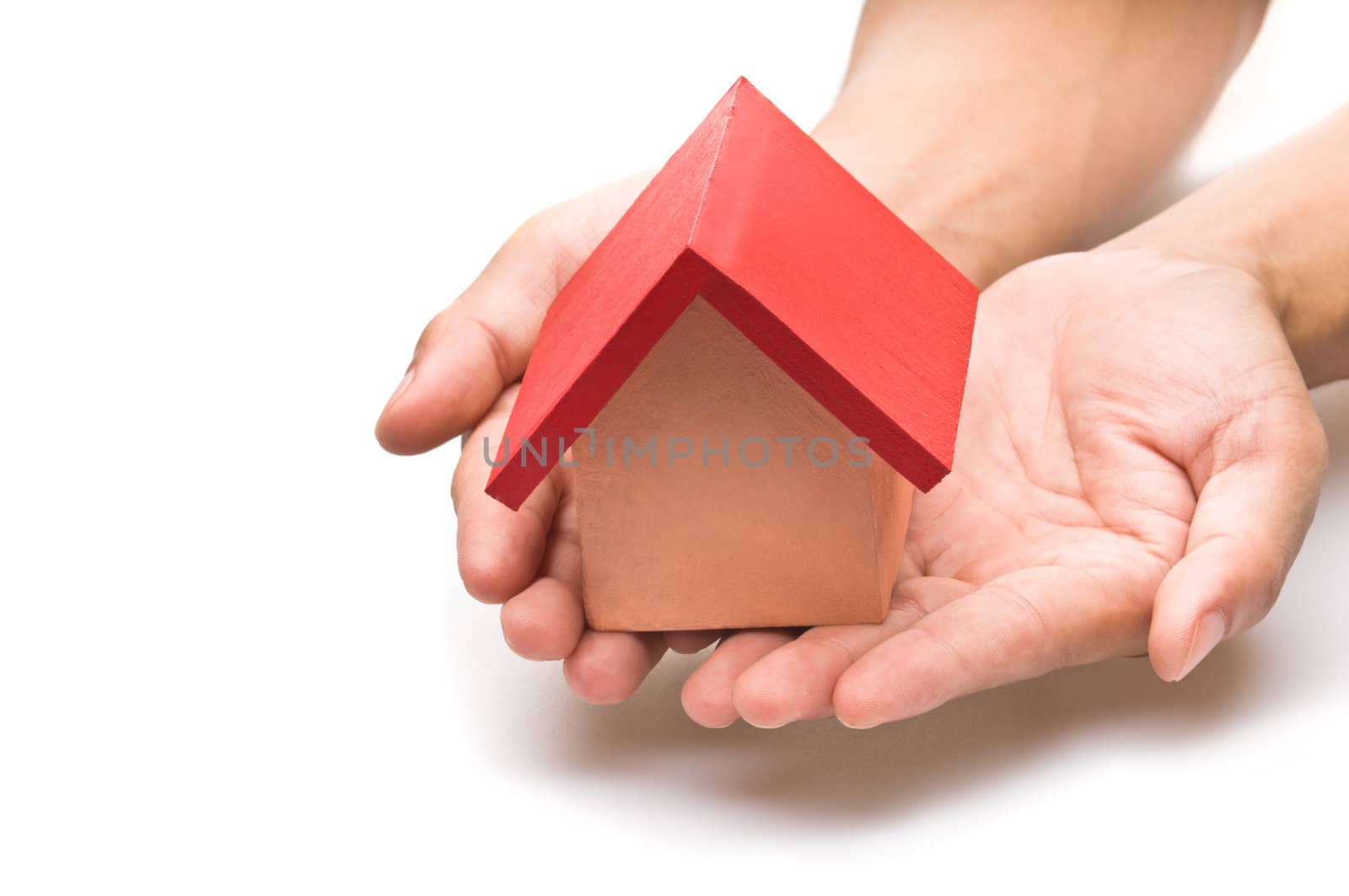 red roofed house over white in human hand