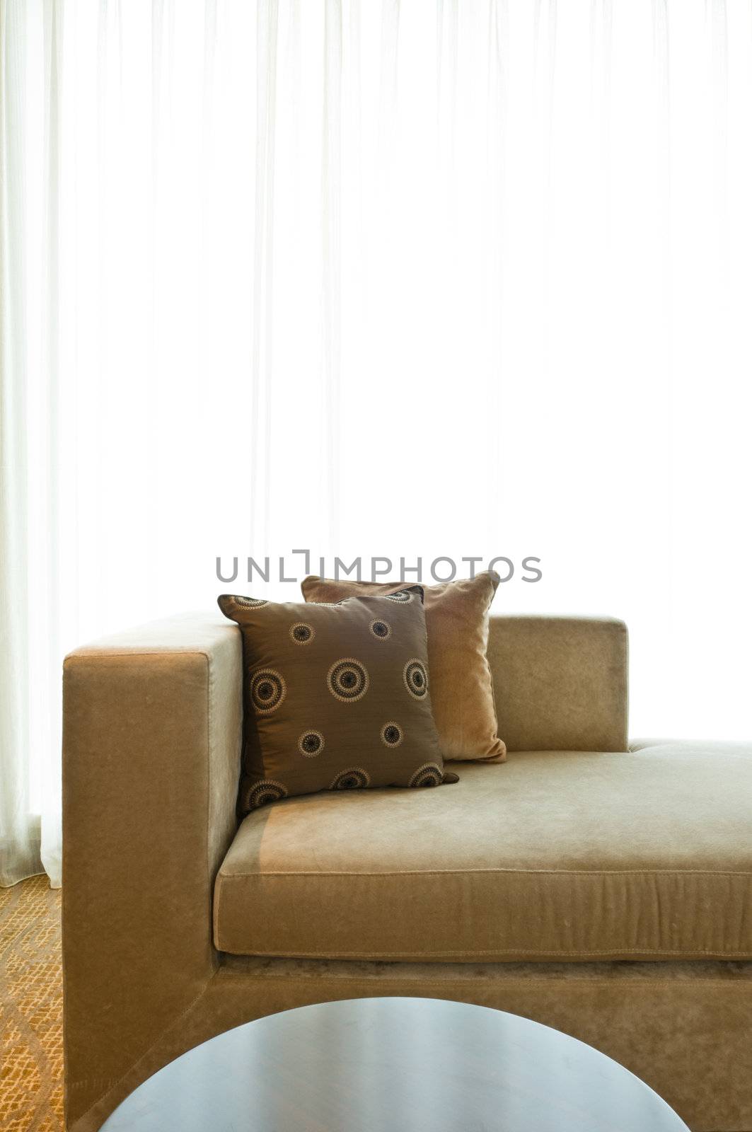 Beautiful sofa in a nice decorated residential living room