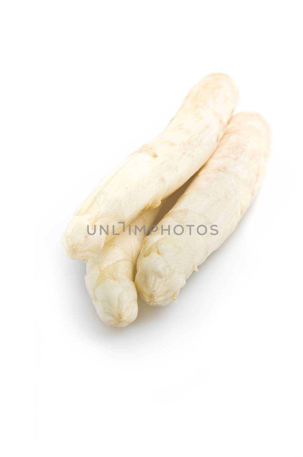 Beautiful white jumbo asparagus close up shoot over white