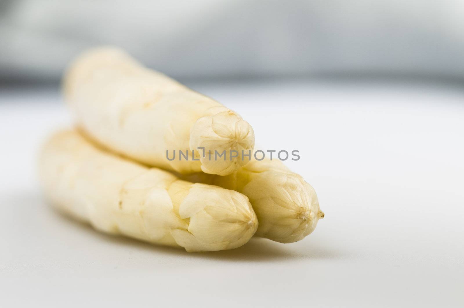 Beautiful white jumbo asparagus close up shoot over white
