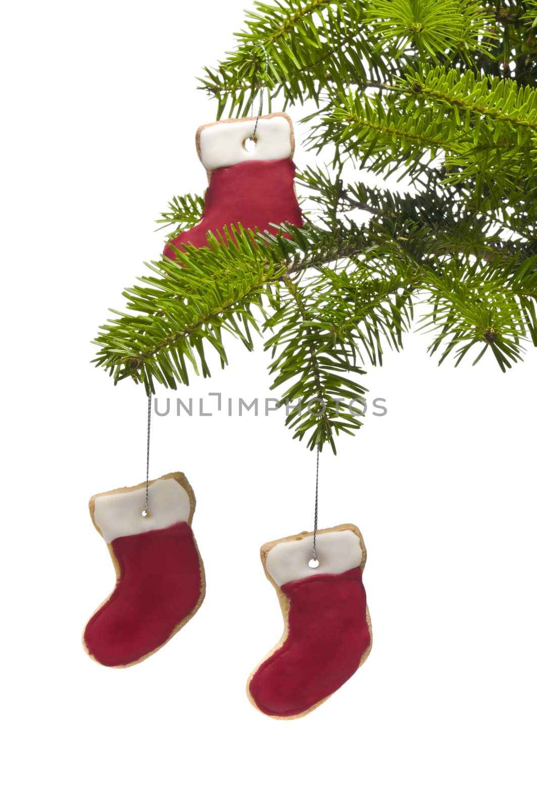 Tree present sock shape cookies as Christmas tree decoration, over white
