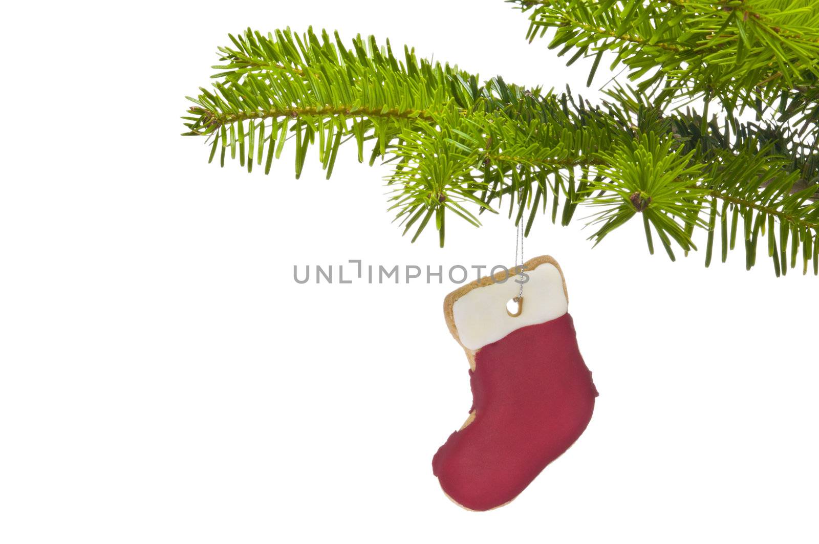 Branch of a Christmas tree decorated with cookie, over white