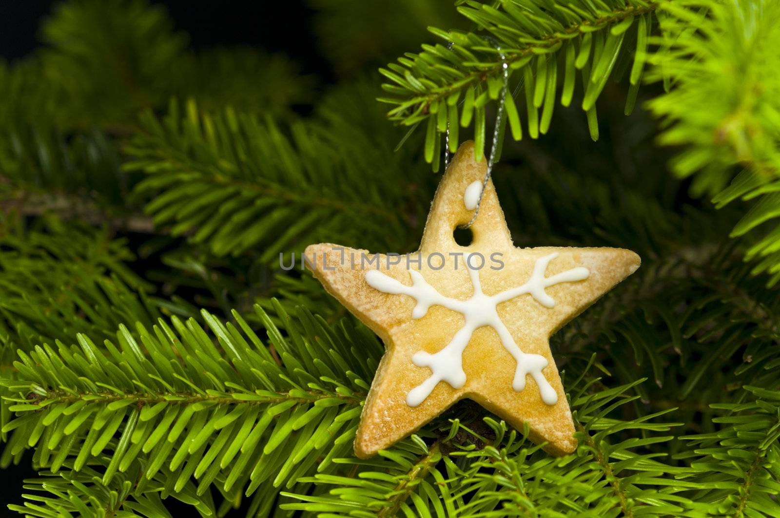 Star shape short bread cookie in  Christmas tree