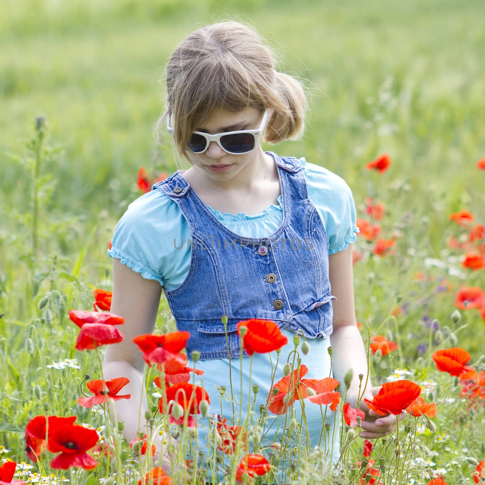 Cute young girl in poppy field