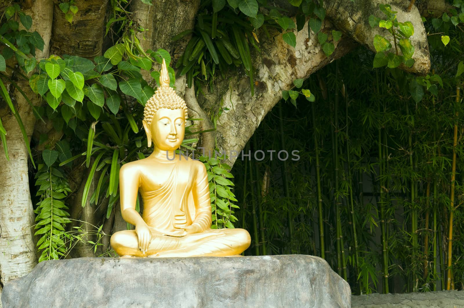 Golden Buddha statue under green tree in meditative posture
