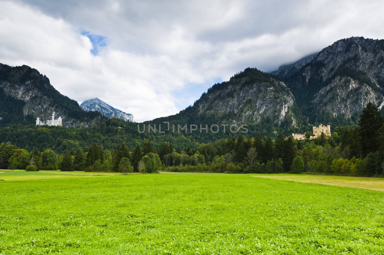 Castle Neuschwanstein and hohenschwangau with alps in the background in autumn